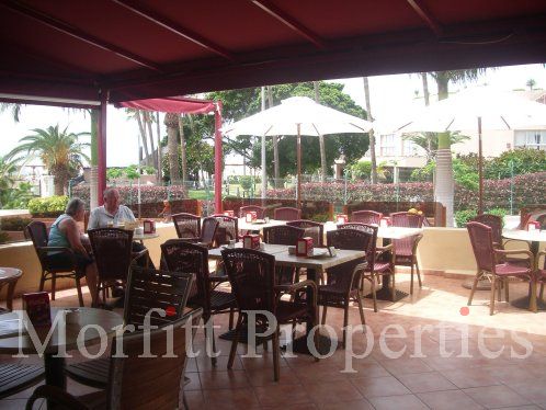 Cafe/Bar in Las Americas Tenerife
