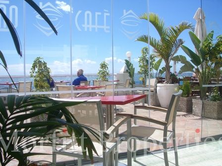 Cafe / Bar in Los Cristianos Tenerife