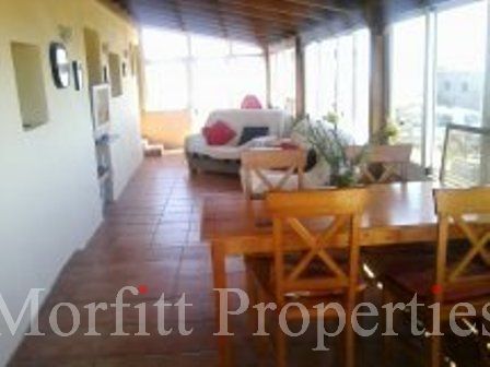Dog/ Cat Hotel in Arico Tenerife