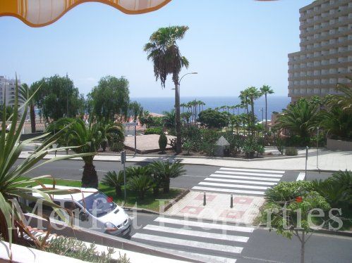 Studio in Garden City Tenerife