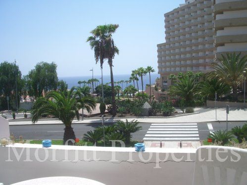 Studio in Garden City Tenerife