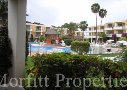 Apartment in Tenerife Sur Tenerife