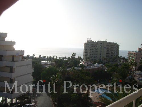 Studio in Borinquen Tenerife