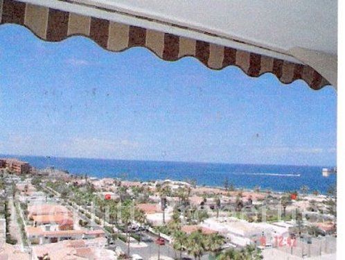 Apartment in Palm Mar Tenerife