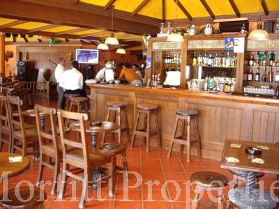 Freehold Bar in Playa De Las Americas Tenerife
