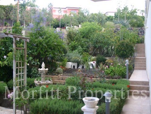 Apartment in Chayofa Park Tenerife