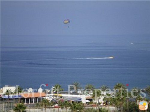 Apartment in Olympia Tenerife