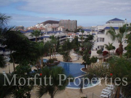 Apartment in Playa Graciosa II Tenerife
